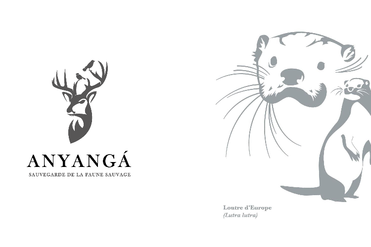 Anyanga, sauvegarde de la faune sauvage. Tête de cerf avec oiseau et Loutre d'Europe.