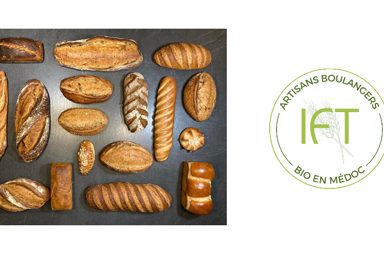 Visuels des pains produits par IFT Artisans Boulangers bio de Gaillan-en-Médoc.