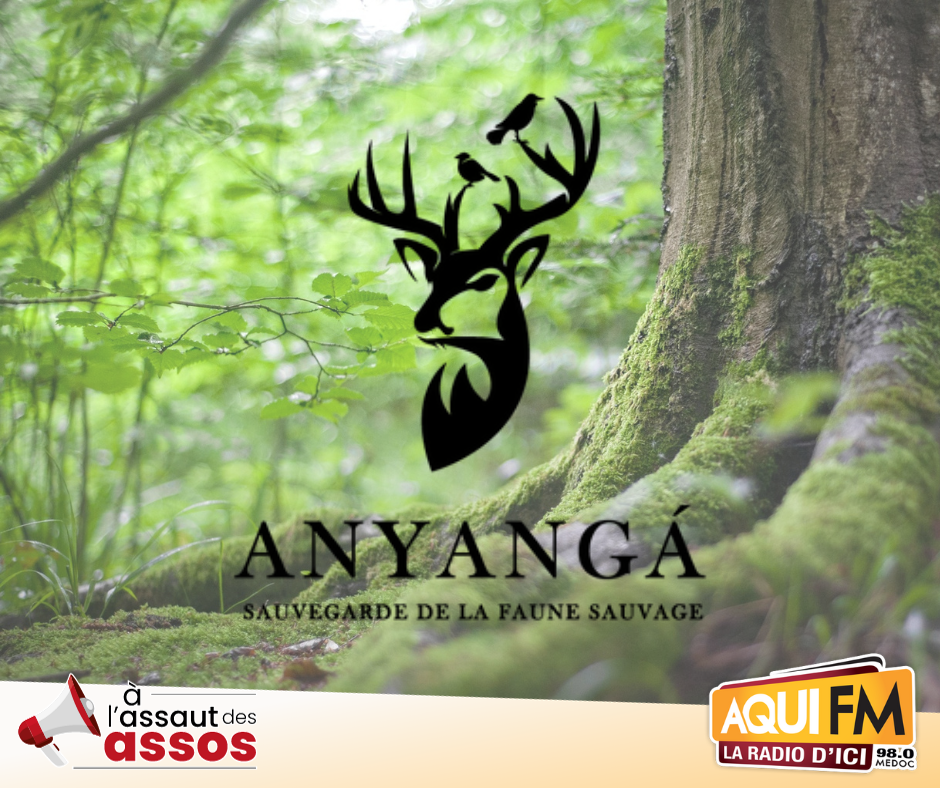 Anyanga, sauvegarde de la faune sauvage en Médoc